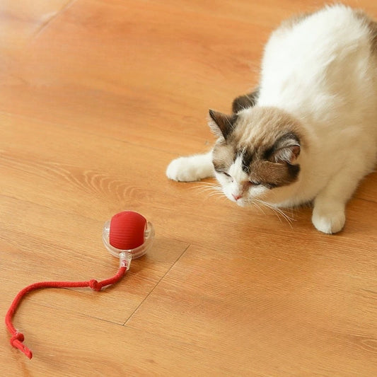 PawGlow - LED Interactive Pet Ball